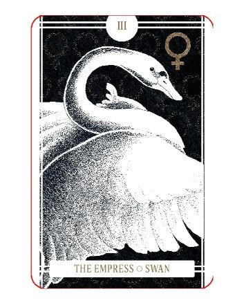 The Avian Tarot