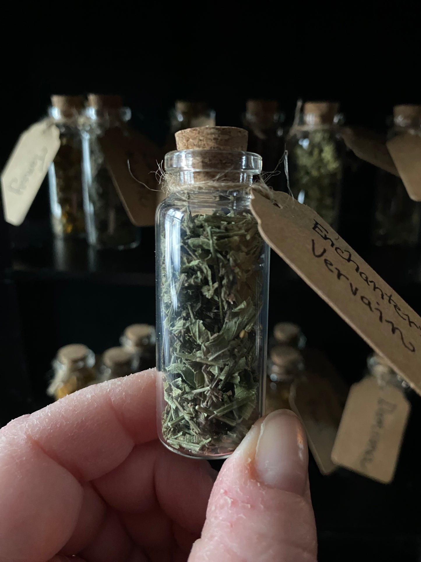 Enchanter’s Vervain