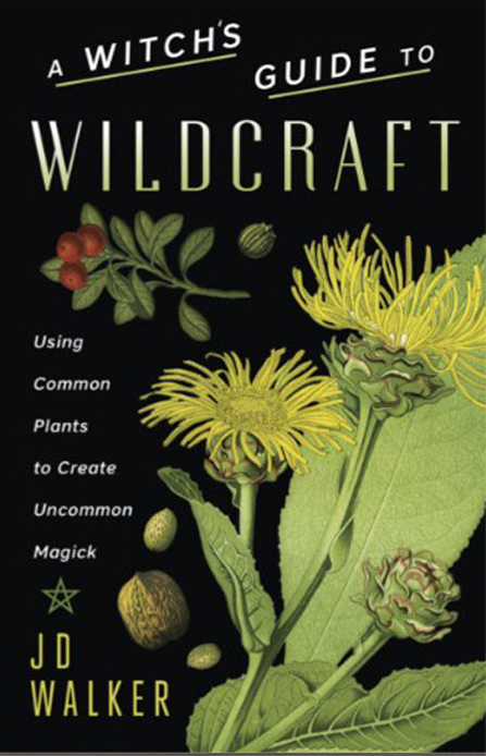 A Witch's Guide to Wildcraft