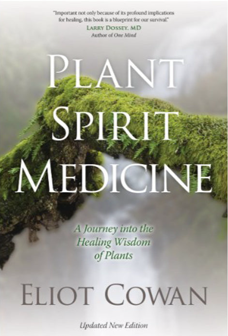 Plant Spirit Medicine: A Journey into the Healing Wisdom of Plants