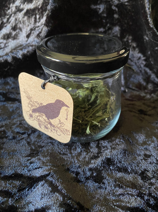 Enchanter’s Vervain