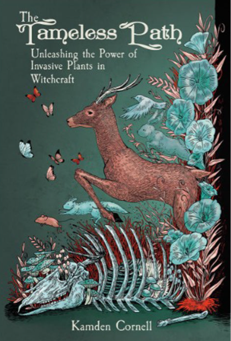 The Tameless Path: Unleashing the Power of Invasive Plants in Witchcraft