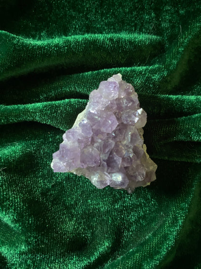 Amethyst Cluster - Medium