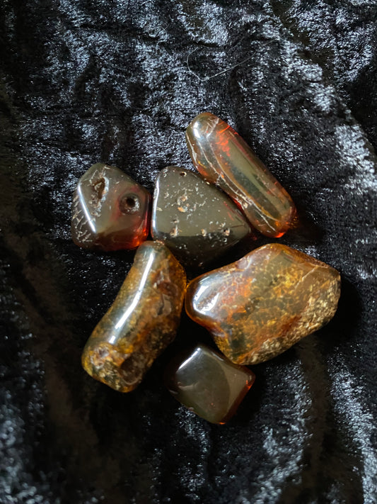 Baltic Amber