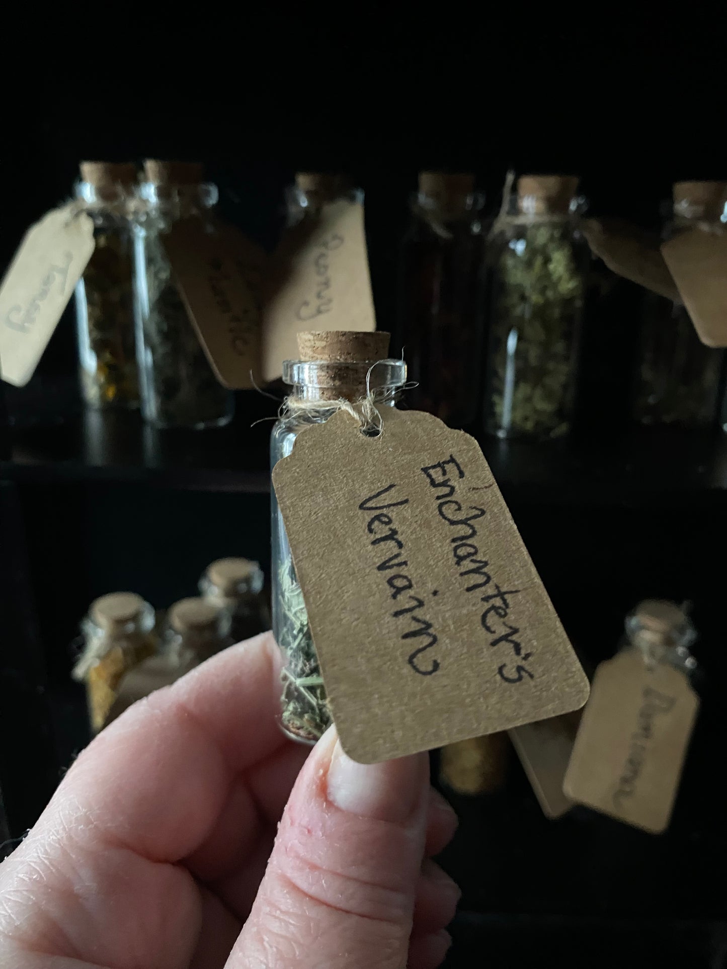 Enchanter’s Vervain