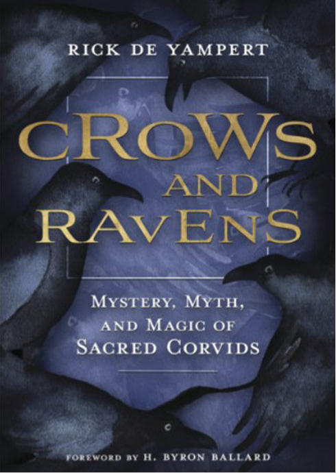 Crows and Ravens