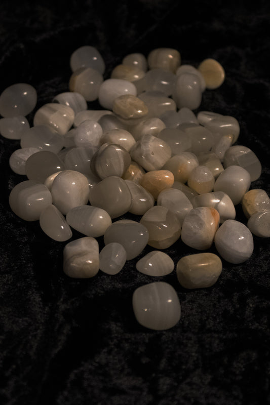 Aragonite Grey