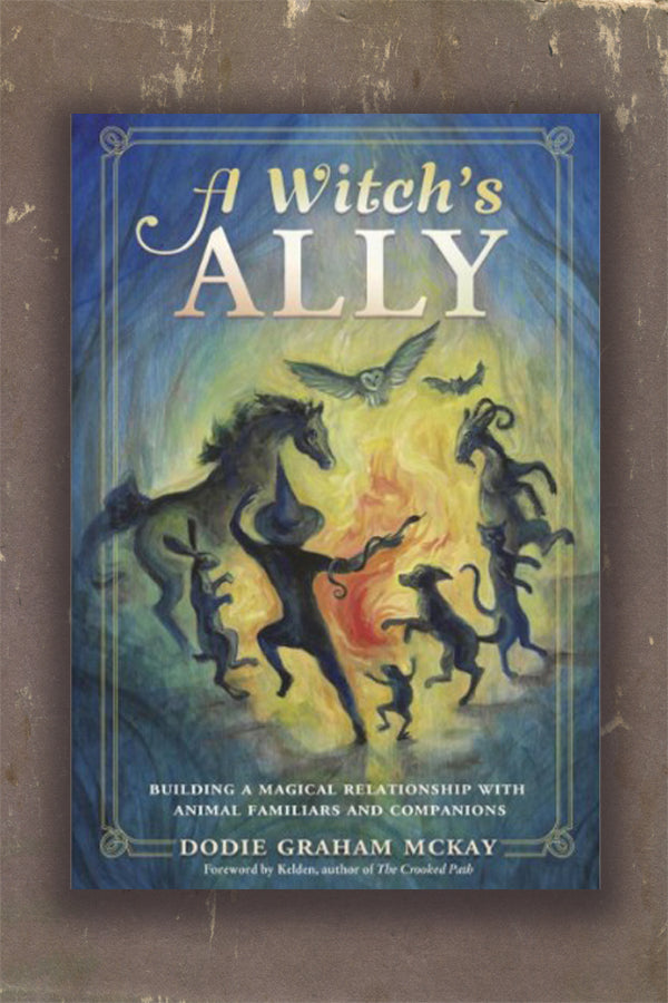 A Witch's Ally