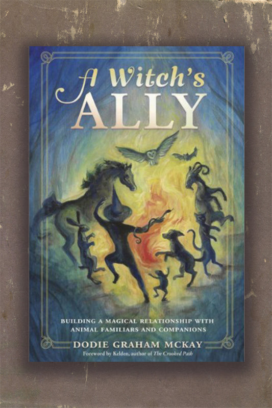 A Witch's Ally