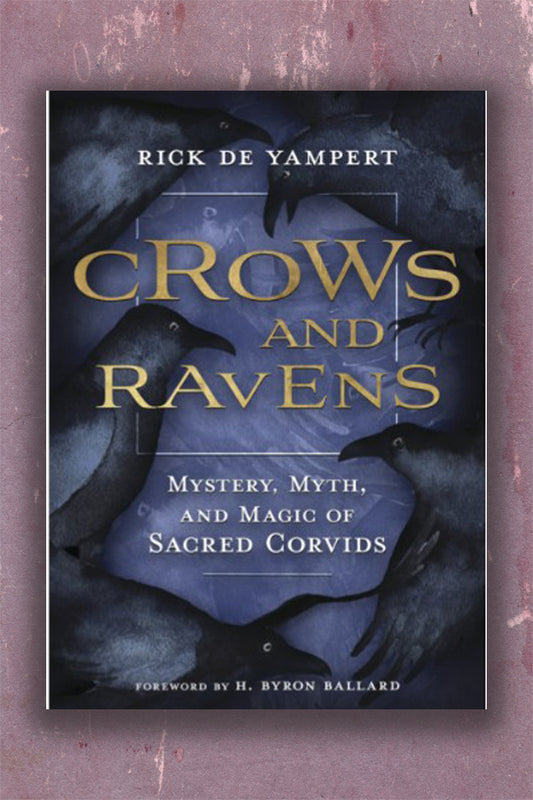 Crows and Ravens