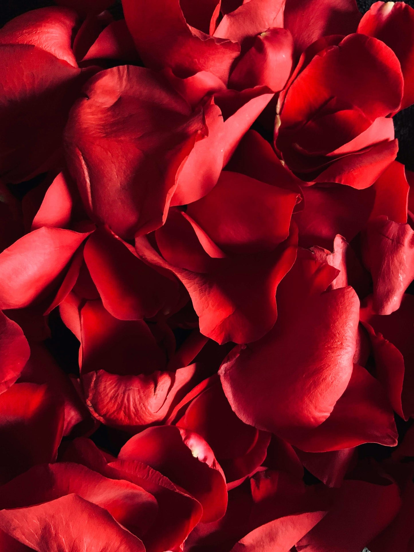 Rose Incense by Leftover Hippies