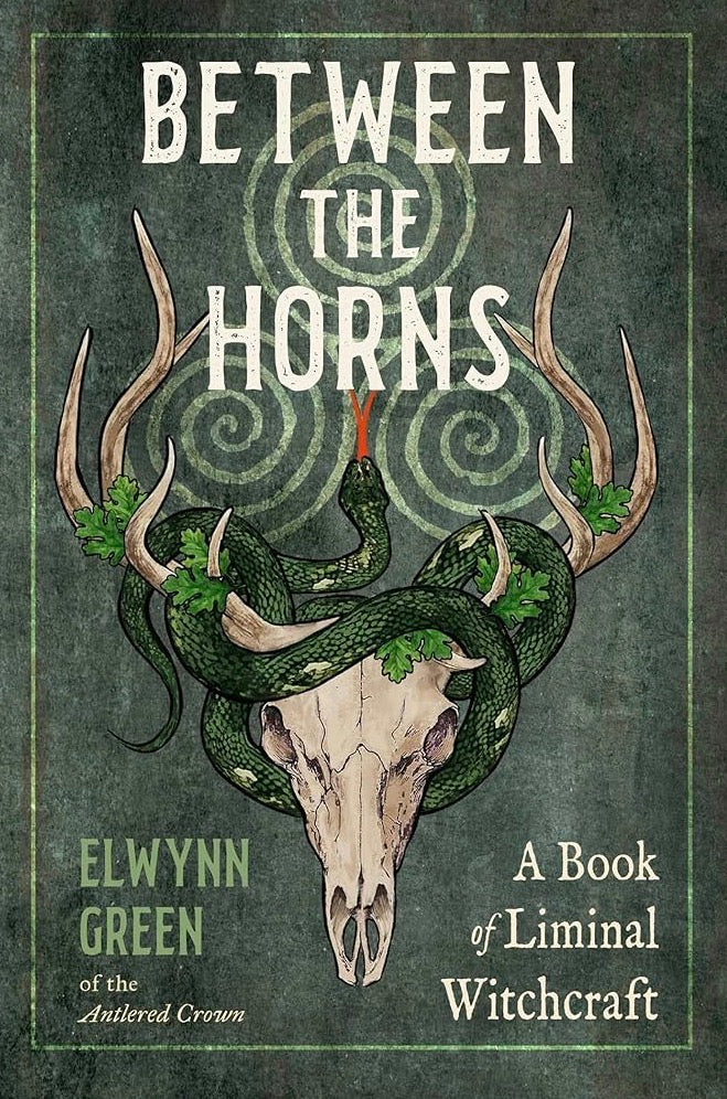 Between the Horns