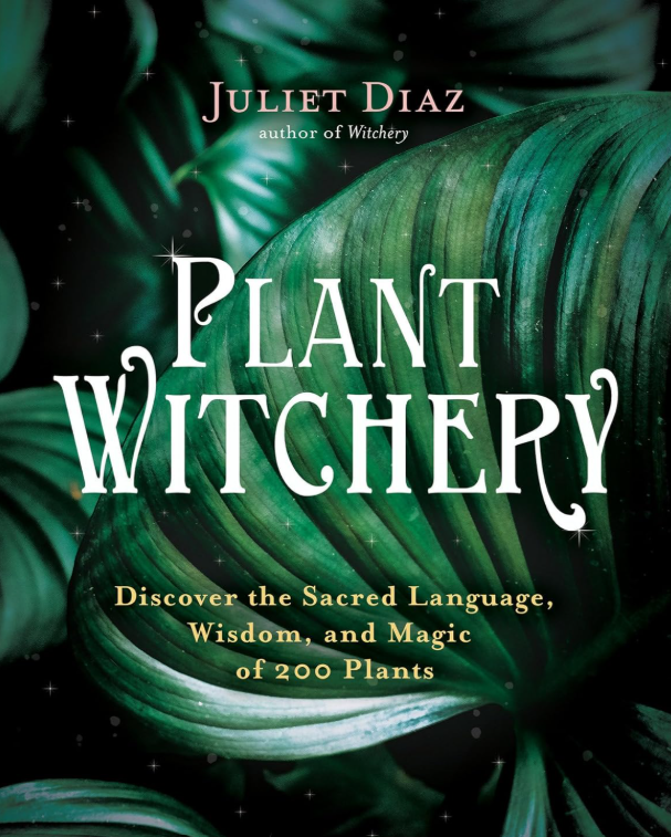 Plant Witchery